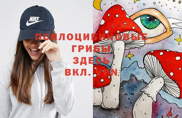 a pvp Вязники