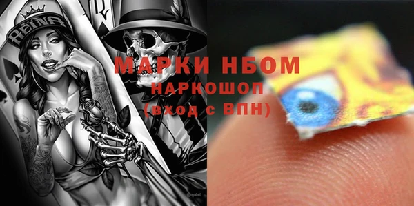 сатива Вяземский