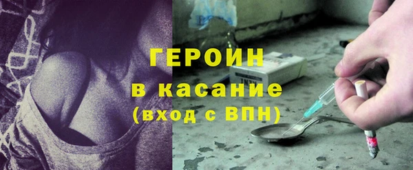 сатива Вяземский