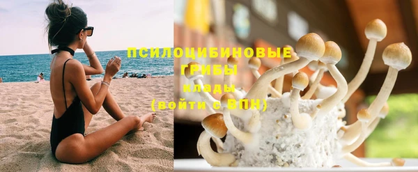 кокаин премиум Тавда